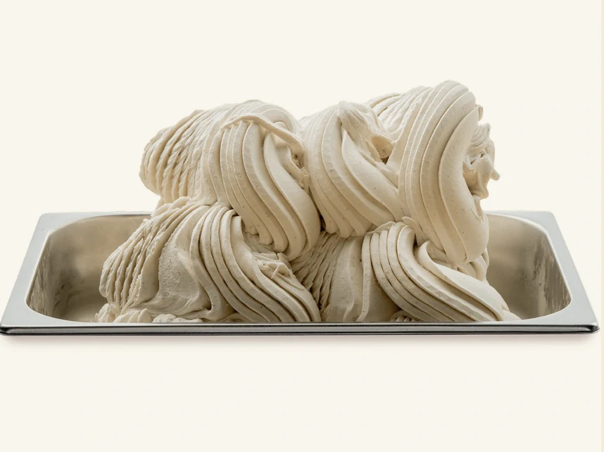 Vaniglia CLASSICA GG , vanilková pasta 3,5 kg