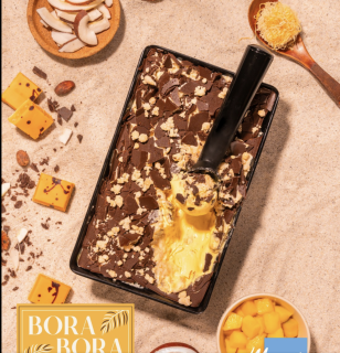 Aymara TROPICAL Chock - Kompletný základ pre výrobu zmrzliny s príchuťou bielej čokolády a manga MM 1.600 g