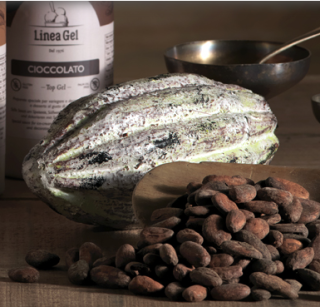 Base Cioccolato Santo Domingo LG / 2 kg bal
