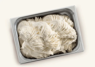 Briogel 100 S.A. F GG 2 kg základ pre univerzálne použitie